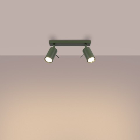 Plafon RING 2 zielony oliwkowy