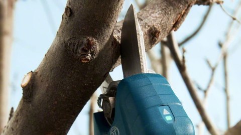 Bosch Pro Pruner Professional akumulatorowe nożyce do trawy 2,5 cm 12 V Litowo-jonowa (Li-Ion) Niebieski