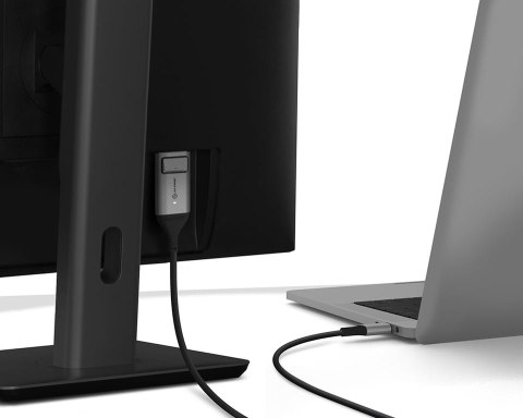 ALOGIC ULCDP02-SGR adapter kablowy 2 m DisplayPort USB Type-C Czarny, Szary