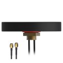 ANTENA PR1KCL25 COMBO LTE Teltonika