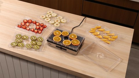 Suszarka do grzybów , warzyw , owoców , 400W , 5 sit, wyświetlacz, termoobieg, TEESA