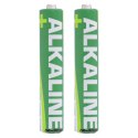 InLine 01298 bateria do użytku domowego Jednorazowa bateria AAAA Alkaliczny