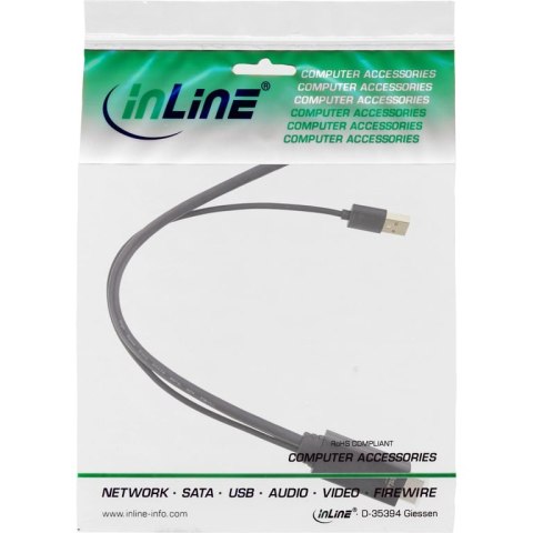 InLine 17168P adapter kablowy 0,3 m HDMI Typu A (Standard) DisplayPort Czarny