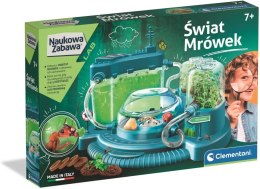 Świat Mrówek | Naukowa zabawa