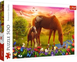 Trefl: Puzzle 500el. - Konie na łące