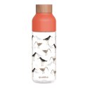 Quokka Ice - Butelka na wodę ecozen 720 ml (Birds)