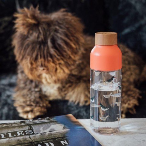 Quokka Ice - Butelka na wodę ecozen 720 ml (Birds)