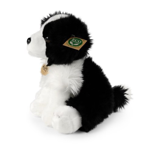 Rappa - Pluszowa realistyczna maskotka Pies Border Collie siedzący 30 cm Eco-Friendly