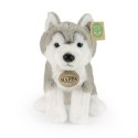 Rappa - Pluszowa realistyczna maskotka Pies Husky siedzący 23 cm Eco-Friendly Soft Collection