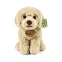 Rappa - Pluszowa realistyczna maskotka Pies Labrador Retriever siedzący 23 cm Eco-Friendly Soft Collection