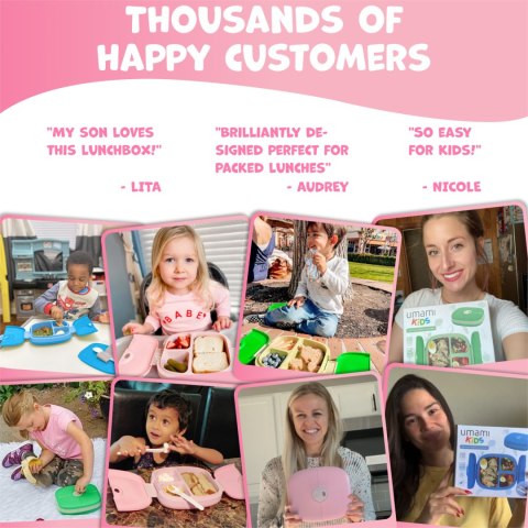 LunchBox Kids Window - Pink - 800ml