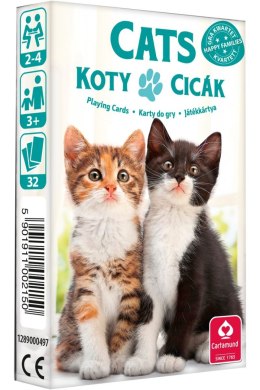 Kwartet | Koty | 32 karty do gry