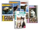 Kwartet | Koty | 32 karty do gry