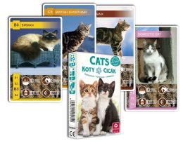 Kwartet | Koty | 32 karty do gry