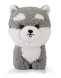 Teddy Pets - Maskotka Husky