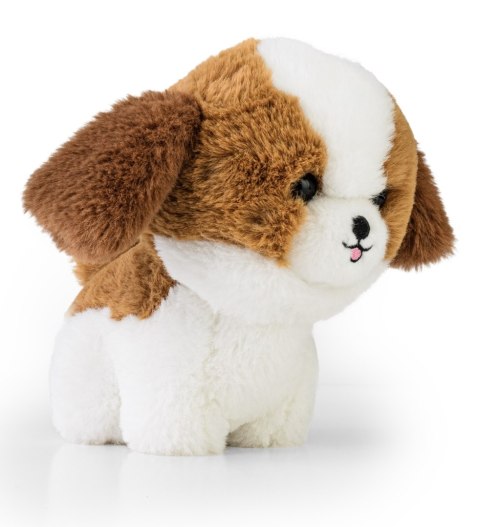 Teddy Pets - Maskotka Shih Tzu